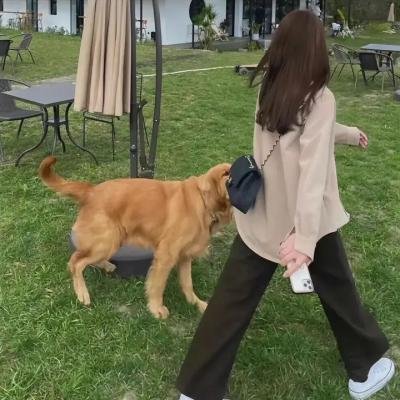 来自罗马的男人